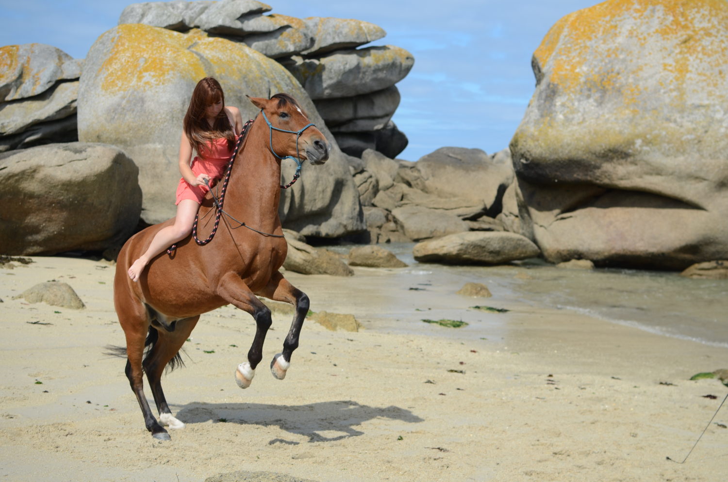 Chloé Legrand Travail du cheval