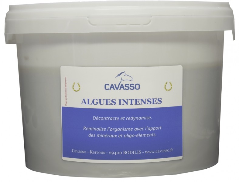 algues-intenses-premium-seau-25-kg